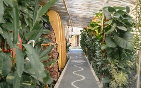 Rascals Hotel - Adults Only